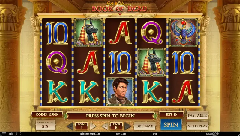Book of Dead interface showing coin value, coins per line, 10 lines, and Spin button