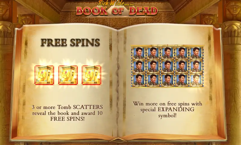 Book of Dead Free Spins rules screen - Tomb Scatter trigger and payout multipliers