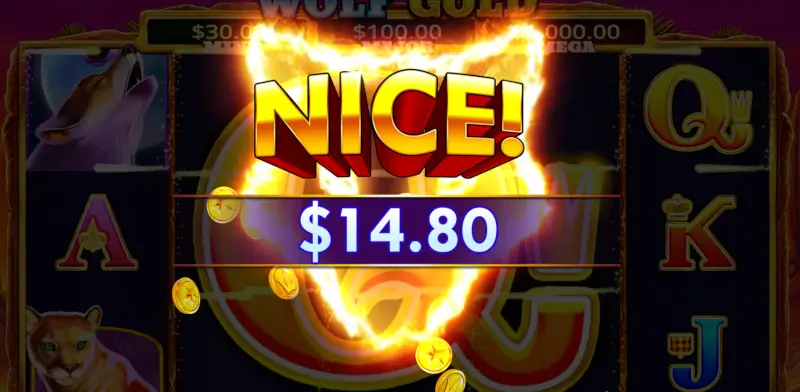 Wolf Gold win notification during Free Spins showing $13.20